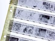 | [© (c) Martin Zitzlaff, Hamburg, www.zitzlaff.com, MwSt. 7%, Veroeffentlichung nur gegen Honorar (MFM) und Belegexemplar, mit Namensnennung] [#0,26,121#]